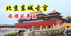 男生操女生无套原创中国北京-东城古宫旅游风景区